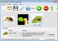 Gallery Flash Slideshowfrontpage slideshow wordpress flash